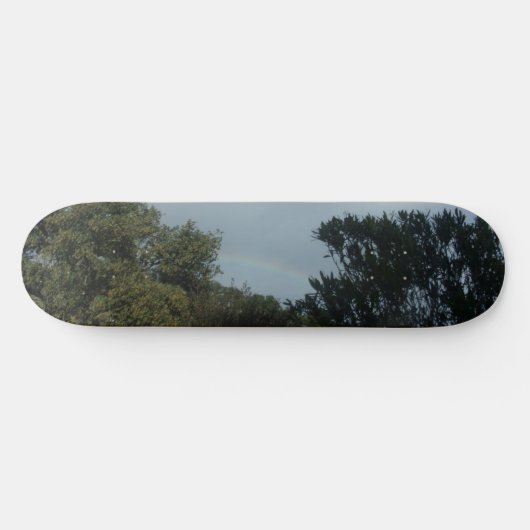 Skateboard (Horizontal)