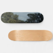 Skateboard (Horizontal)