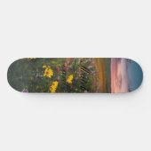 Skateboard (Horizontal)
