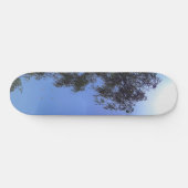 SKATEBOARD (Horizontal)