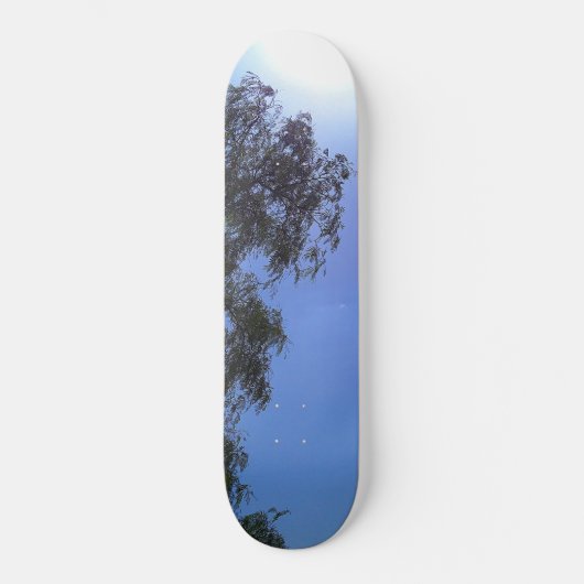 SKATEBOARD (Vorderseite)