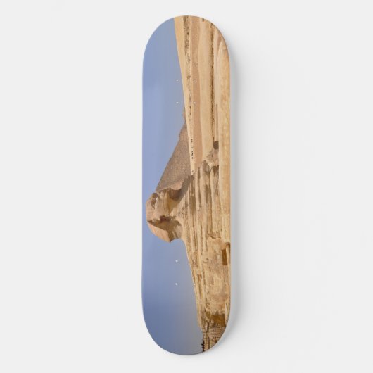 Skateboard (Vorderseite)