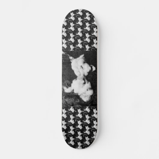 Skateboard (Vorderseite)