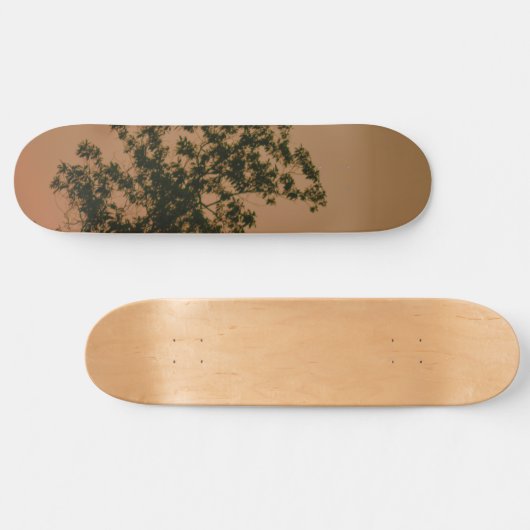 Skateboard (Horizontal)