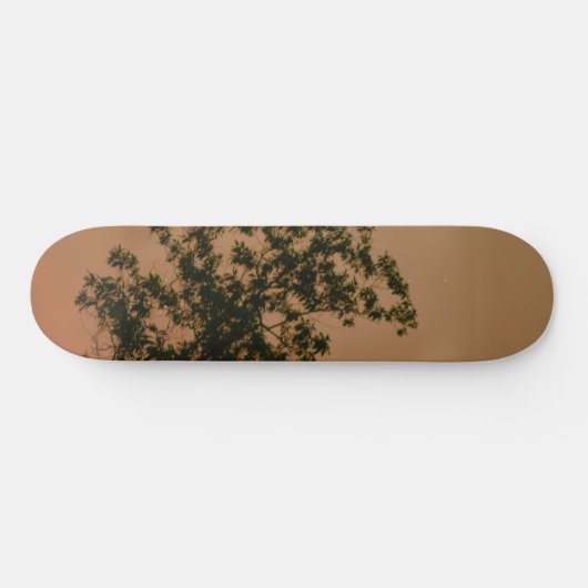 Skateboard (Horizontal)