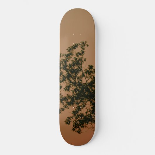 Skateboard (Vorderseite)