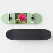 Skateboard (Horizontal)