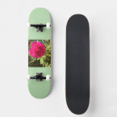Skateboard (Vorderseite)