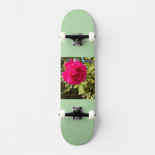 Skateboard (Vorderseite)