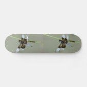 Skateboard (Horizontal)