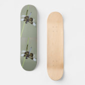 Skateboard (Vorderseite)