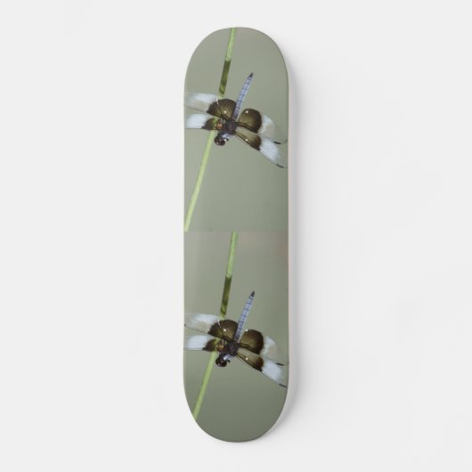 Skateboard (Vorderseite)