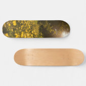 Skateboard (Horizontal)