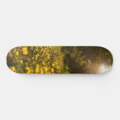 Skateboard (Horizontal)