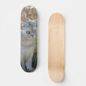 Skateboard Atento gato británico de pelo corto (Vorderseite)