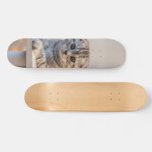Skateboard Atento gato de raza fold escocés (Horizontal)