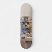 Skateboard Atento gato de raza fold escocés (Vorne)