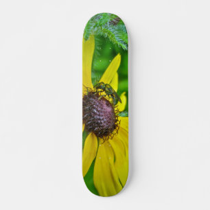 Skateboard Biene und Black Mit Augen Susan