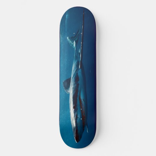 Skateboard Blue Shark Predator. (Vorderseite)