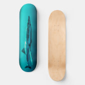 Skateboard Bull Shark Predator. (Vorderseite)