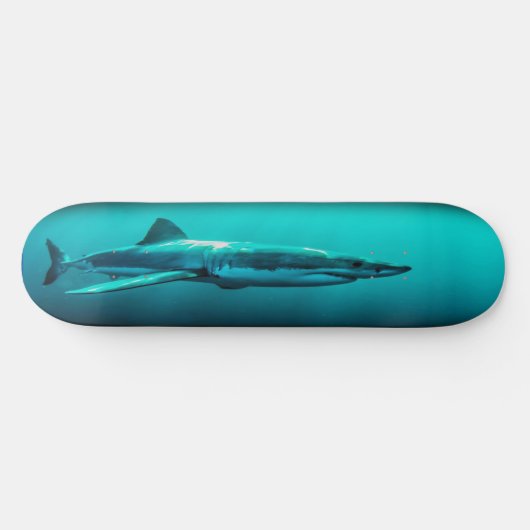 Skateboard Bull Shark Predator. (Horizontal)