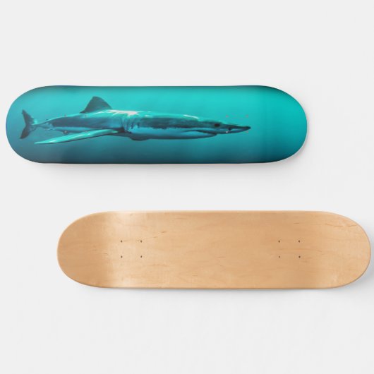 Skateboard Bull Shark Predator. (Horizontal)
