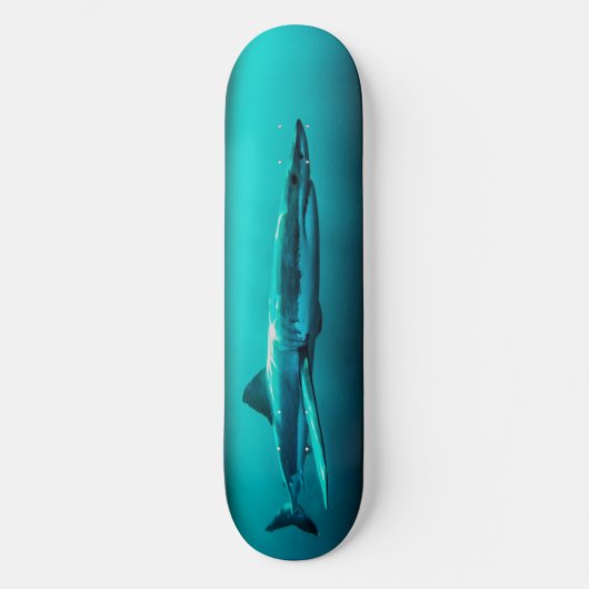 Skateboard Bull Shark Predator. (Vorderseite)