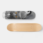 Skateboard Curioso gato británico de pelo corto (Horizontal)