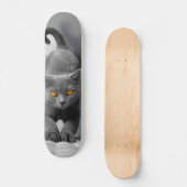 Skateboard Curioso gato británico de pelo corto (Vorderseite)