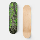 Skateboard Deck der Waldbaume (Vorderseite)