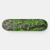 Skateboard Deck der Waldbaume (Horizontal)