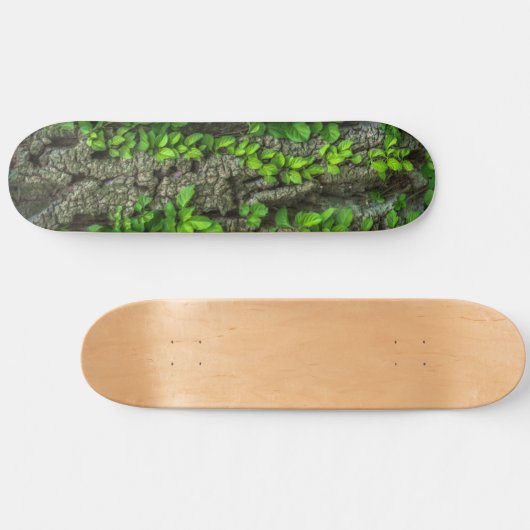 Skateboard Deck der Waldbaume (Horizontal)