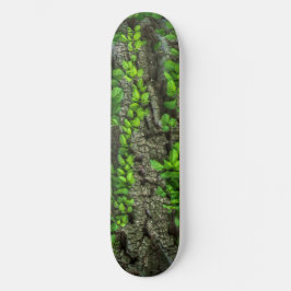 Skateboard Deck der Waldbaume