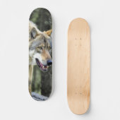 Skateboard Depredador lobo gris observando (Vorderseite)