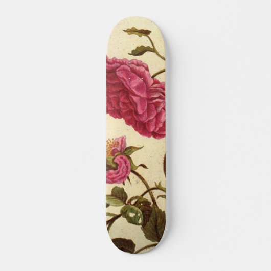 Skateboard der niederländischen Rose (Vorne)