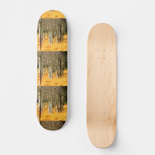 Skateboard für Aspen (Vorderseite)