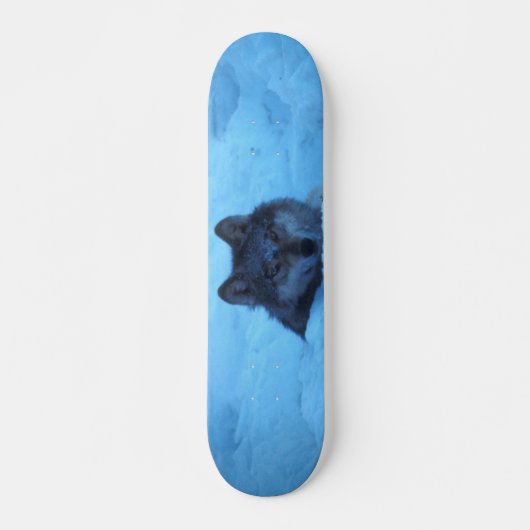 Skateboard für Blauschneeholz (Vorne)