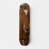Skateboard für Pferde Pose (Vorne)