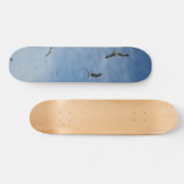 Skateboard für Seagulls (Horizontal)