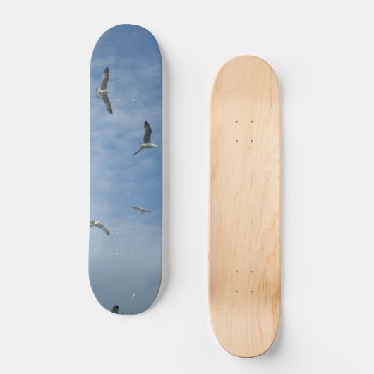 Skateboard für Seagulls (Vorderseite)