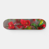 Skateboard für Skateboard (Horizontal)