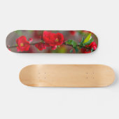 Skateboard für Skateboard (Horizontal)