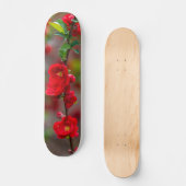 Skateboard für Skateboard (Vorderseite)