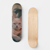Skateboard Gato atigrado naranja con seria actitud (Vorderseite)