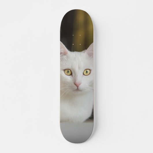 Skateboard Gato blanco con ojos amarillos (Vorne)