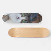 Skateboard Gato gris y blanco observando (Horizontal)