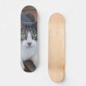 Skateboard Gato gris y blanco observando (Vorderseite)