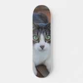 Skateboard Gato gris y blanco observando (Vorne)