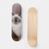 Skateboard Gato peludo de raza ragdoll (Vorderseite)