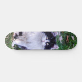 Skateboard Gato raza Maine Coon pelo largo (Horizontal)